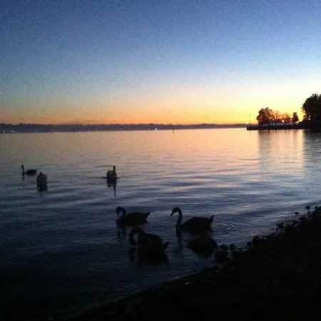 Sweet By Bodensee
